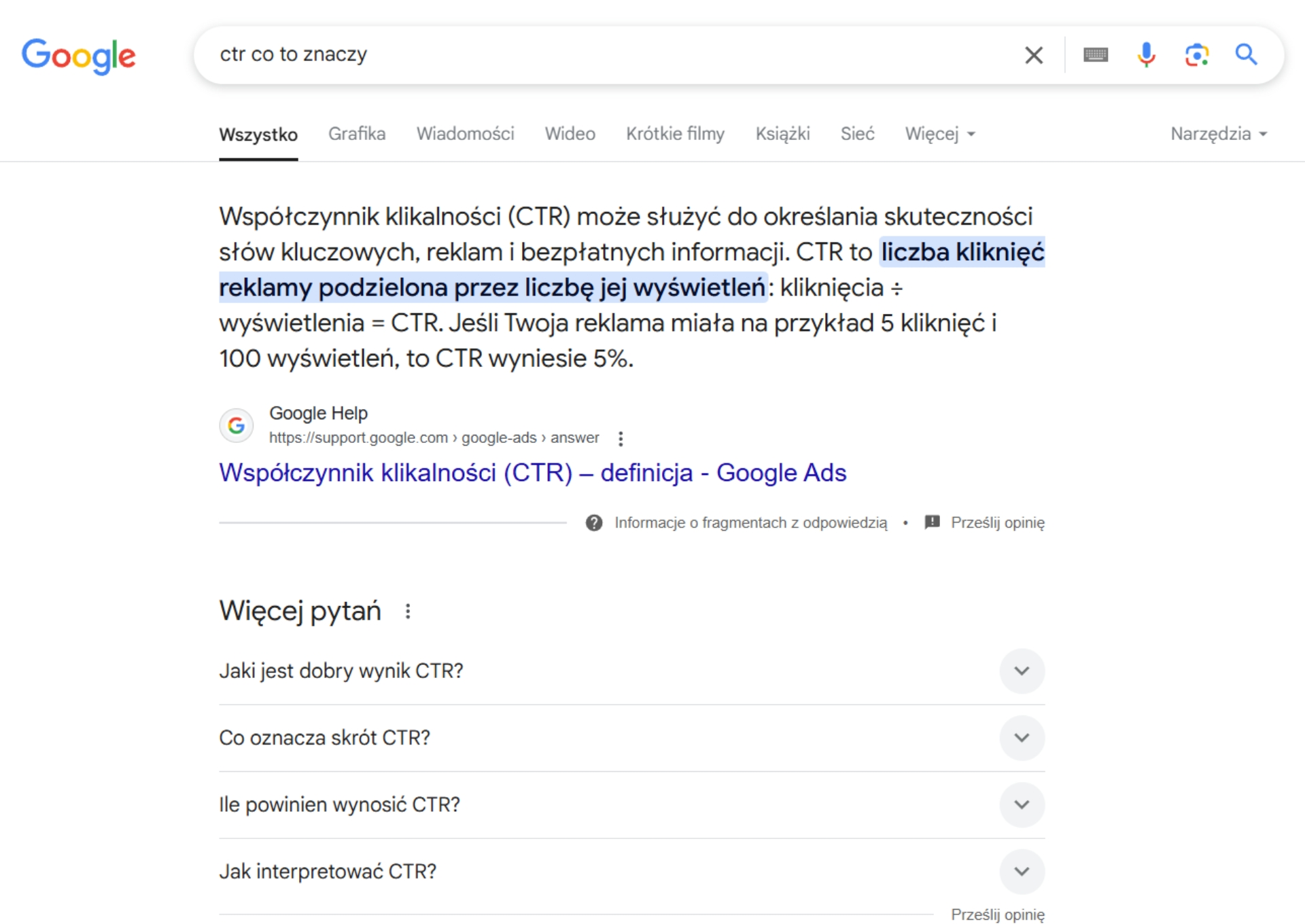 Google AI overview co to