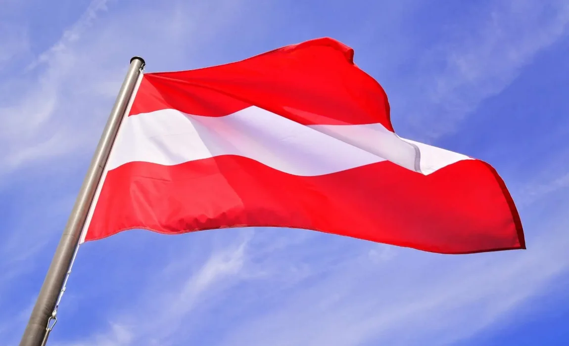 pozycjonowanie stron w Austrii