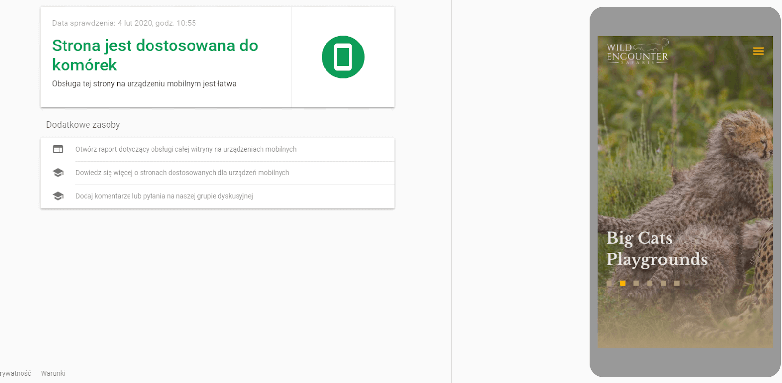 Mobile Fiendly - test optymalizacji mobilnej