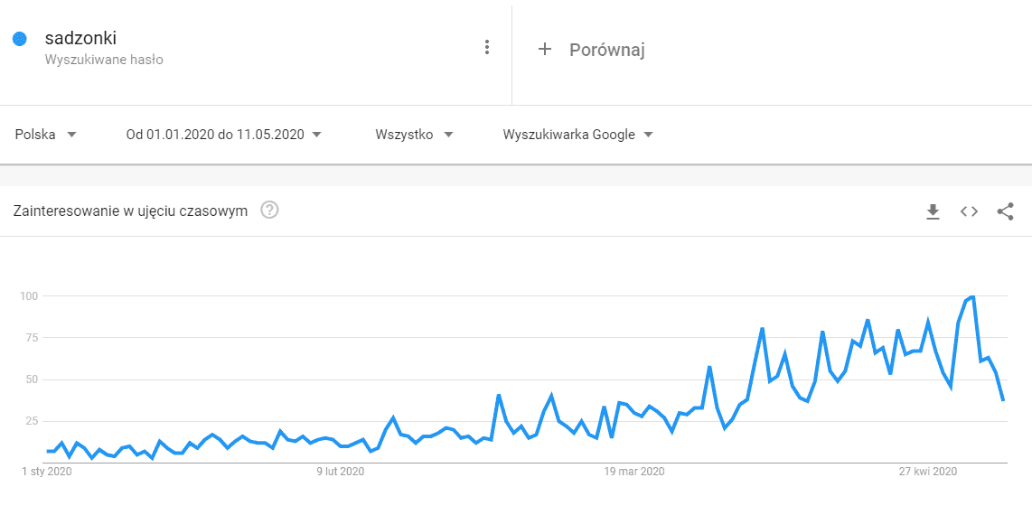 google trends koronawirus sadzonki