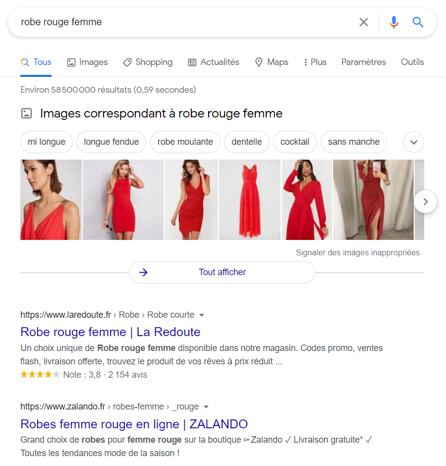 pozycjonowanie stron internetowych we francji