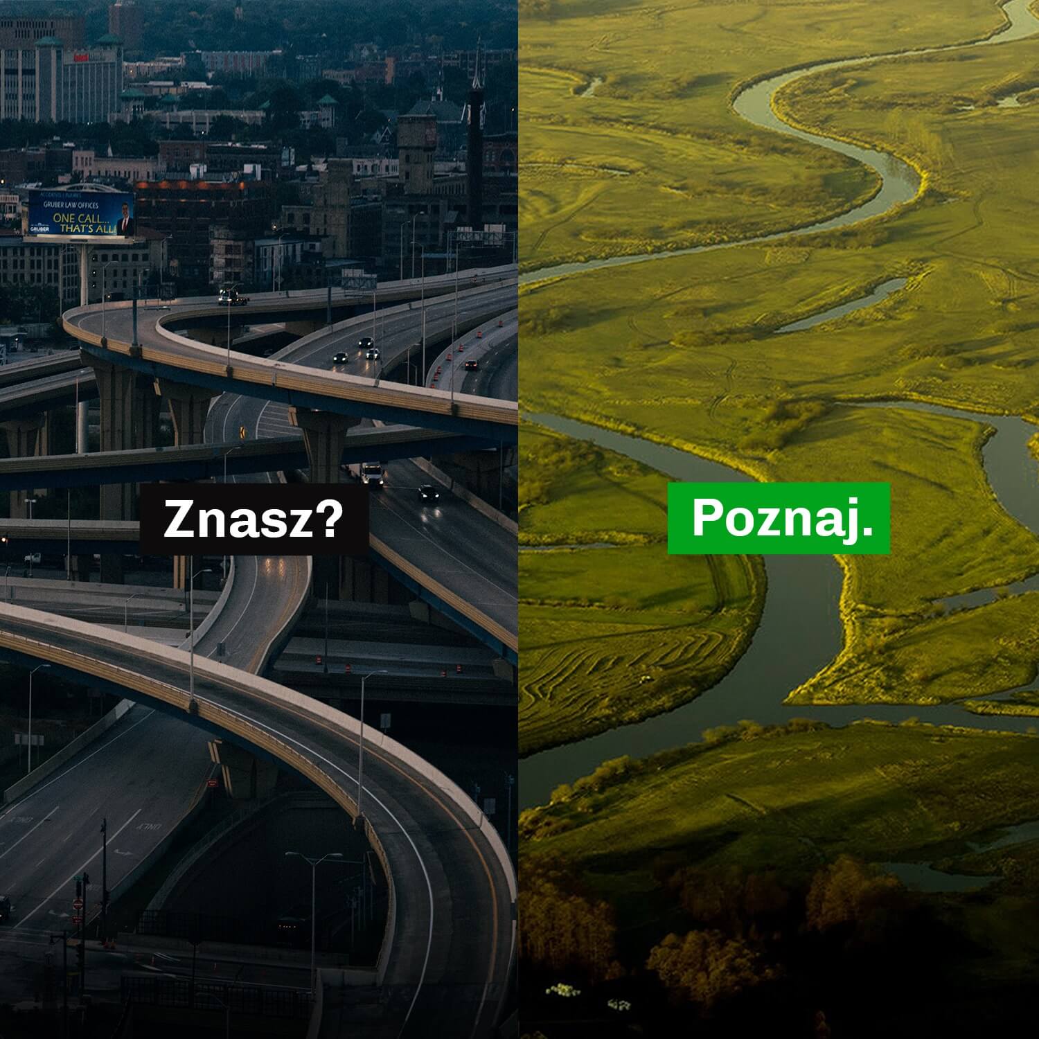 internetowy marketing terytorialny Podlasie