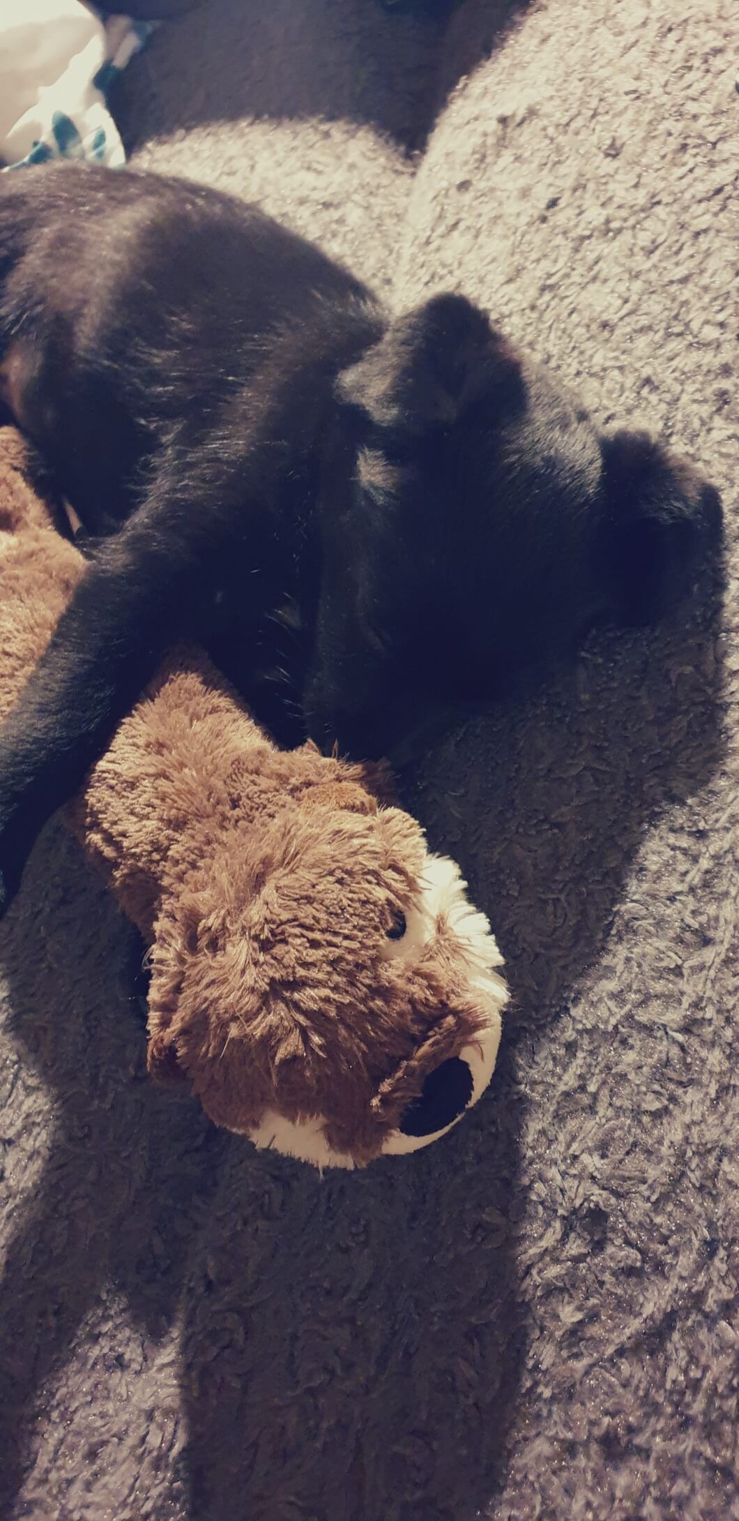 Lulu