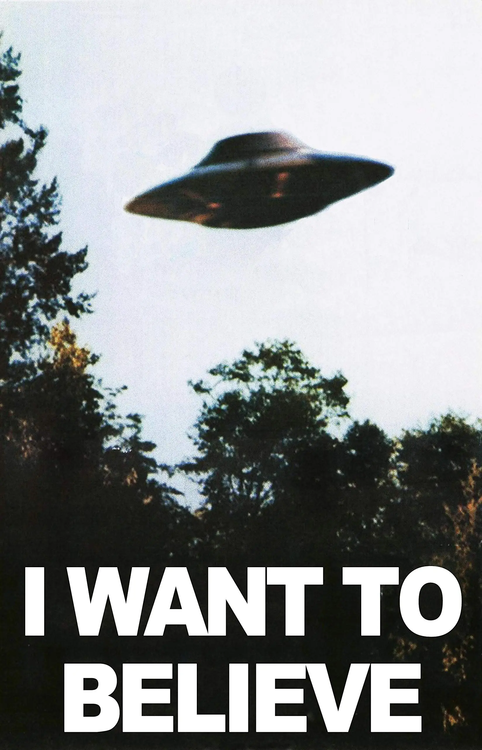I want to believe Archiwum X