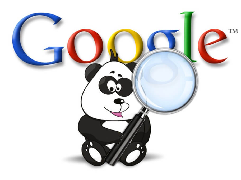algorytm panda zdjęcie
