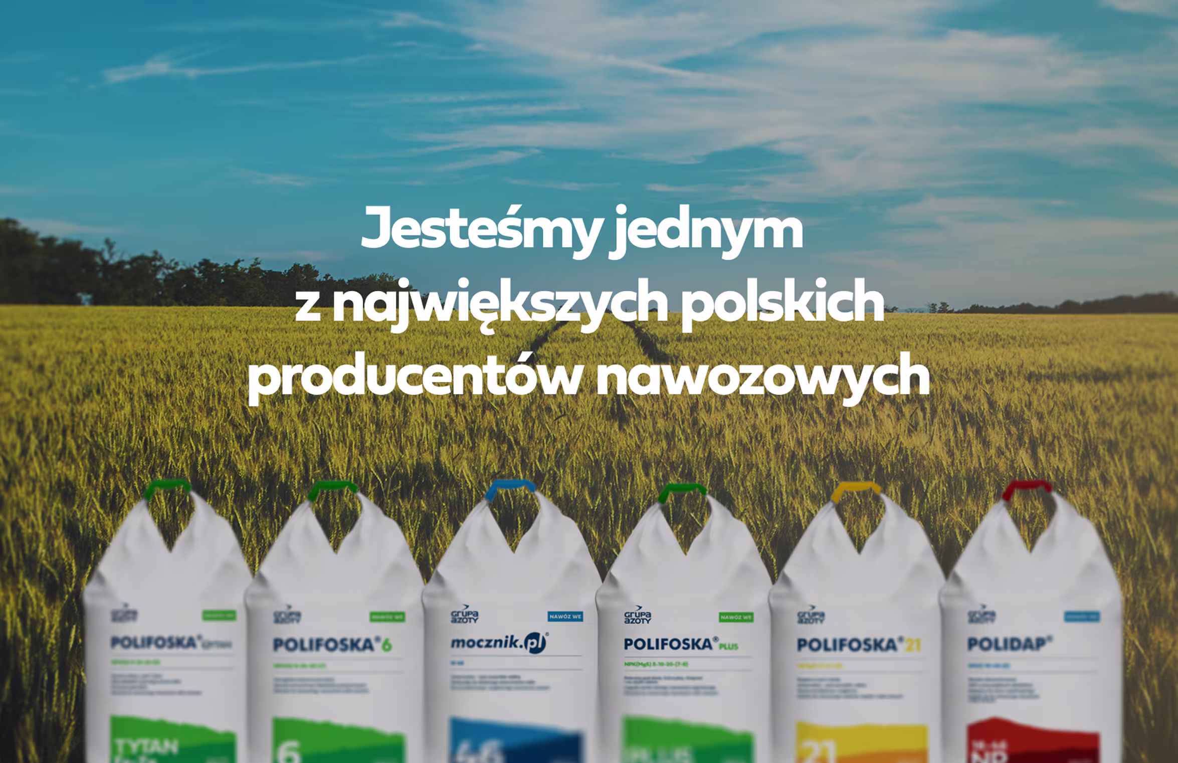 case study WWW Polifoska