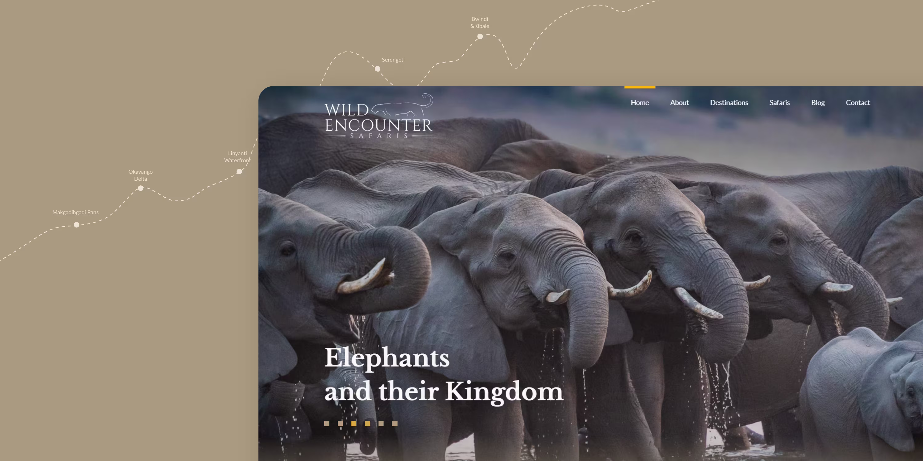 Case study Wild Encounter Safari