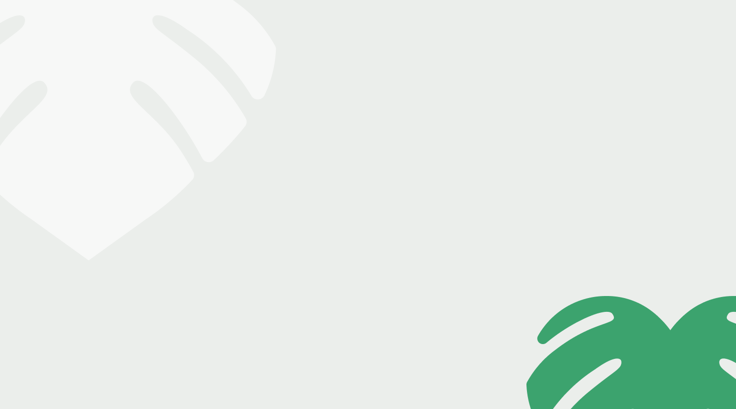 tło Dunia Organic case study DEV
