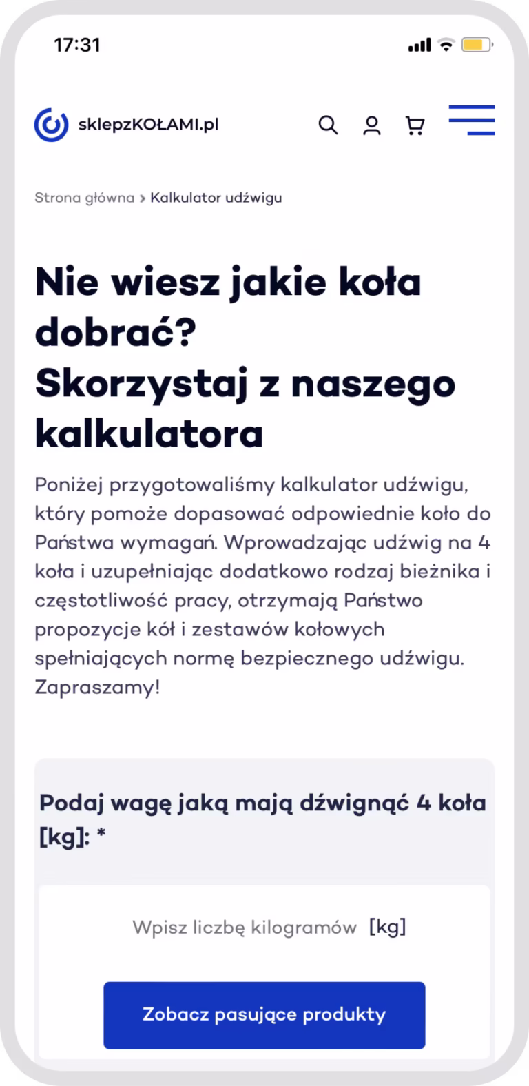 Sklep z Kołami case study WWW responsywność