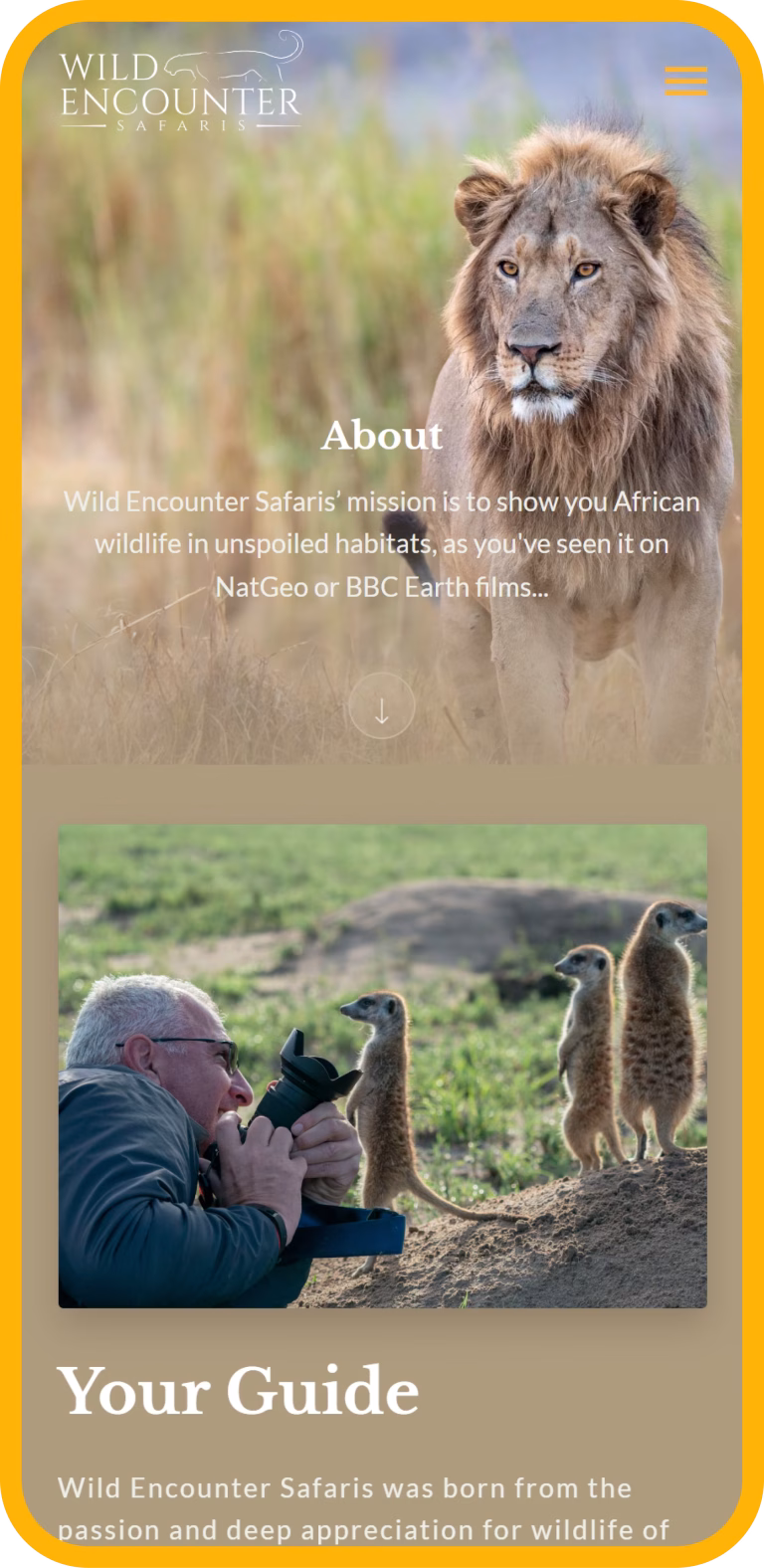 Wild Encounter Safairs case study WWW strona responsywna