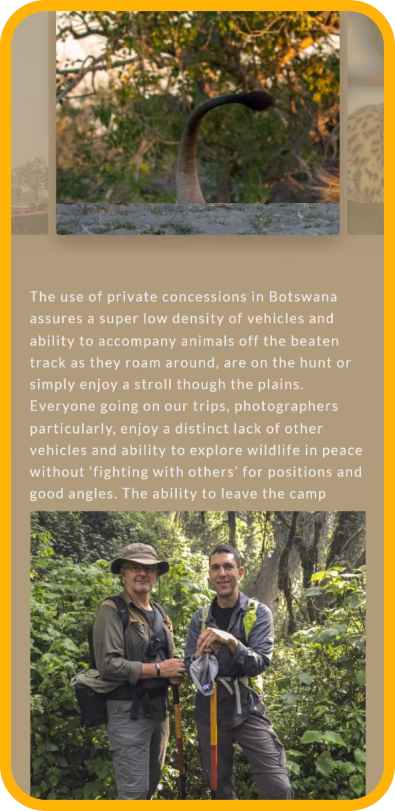 Wild Encounter Safairs case study WWW responsywność
