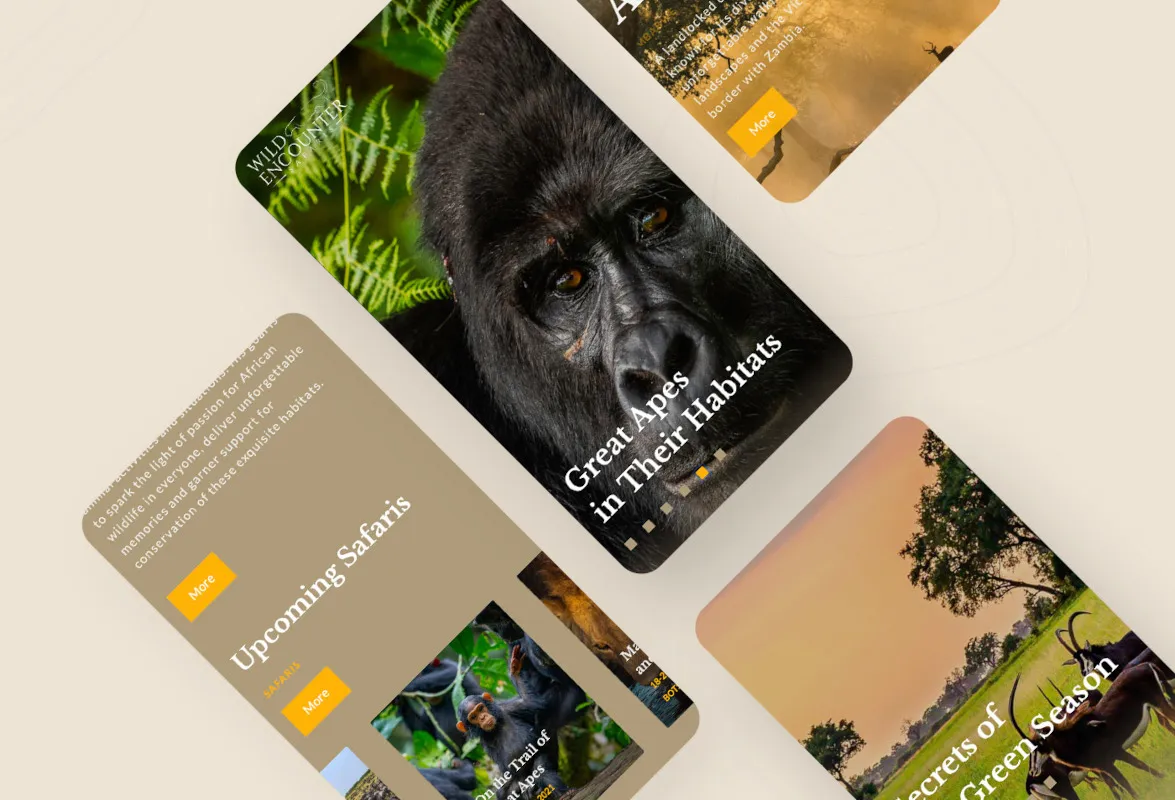 Wild Encounter Safairs case study WWW