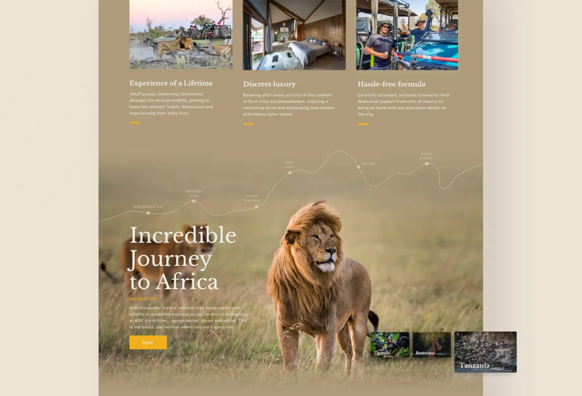 wild encounter safari case study empressia