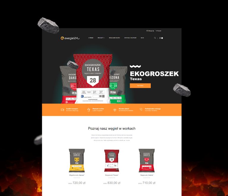 SEO Case Study: Jak uzyskaliśmy wzrost ruchu o 2426%